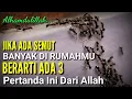 Download Lagu MASYAALLAH !! Jika Banyak Semut Di Rumahmu, Ada 3 Pertanda Dari Allah, Jangan Sampai Di Bunuh