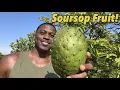 Soursop The CANCER Fighting Fruit That s Nutritious DELICIOUS