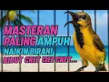 Download Lagu PANCINGAN SOGON BAHAN GACOR NAIKIN BIRAHI SOGON MACET