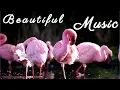 Download Lagu ✔️ Gentle MUSIC for the soul and life / Piano Relaxing Music