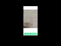 How to evaluate subjective answers on Questt App