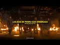 Download Lagu Florence + The Machine - Dog Days Are Over (Sub Español) - Guardianes de la Galaxia Vol. 3