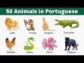 Lagu 50 Animals name in Portuguese with Pictures