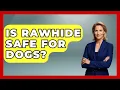 Is Rawhide Safe For Dogs - Survival Skills for Everyone