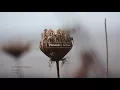 Mohamed Rouane / Souvenir
