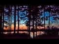 Download Lagu Night forest sound 30 minutes nature forest sounds meditation zen music - Relax at work
