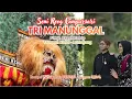 Lagu SENI REOG TRI MANUNGGAL | SESI SIANG