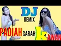 Download Lagu Dj Remix  Padiah Garah Kawan (Dolar Pro)