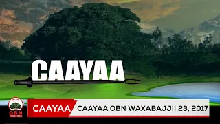 Caayaa OBN Waxabajjii 23 2017 