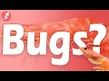 Is Shrimp Bugs