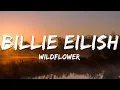 Lagu Billie Eilish - WILDFLOWER (Lyrics)