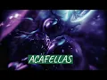 Acafellas