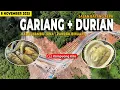 Samba Kampuang dan Durian - Makin Lamak - Puncak Binuang Jln Bayang Alpa