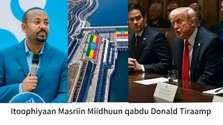 Godina Harargee Lixaa Aanaa Daaroo Labuutti Bulchaan Araddaa Ooyruu Qonnaan Bultootaa Saame 