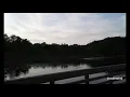 Adult Swim Bump - Hot At Night