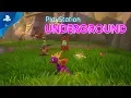 Video di Spyro Reignited Trilogy - PS4 Gameplay | PlayStation Underground
