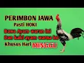 Download Lagu Primbon jago agar selalu hoki bawa ayam hari minggu
