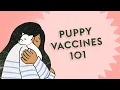 What s the Deal with Puppy Vaccines Vet Tips