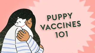 What s the Deal with Puppy Vaccines Vet Tips
