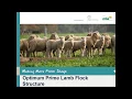 Making More from Sheep Optimal Prime Lamb Flock Structure