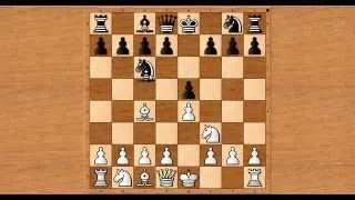 chess the italian opening volume 1 