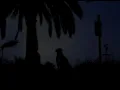 Sublime - What I Got (Reprise) [Music Video]