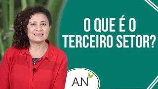 Você sabe o que é o Terceiro Setor ?