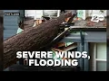 Oregon sees downed trees power outages flood watches
