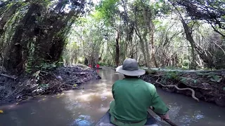 Xeo Quyt Forest, Mekong Delta, Vietnam