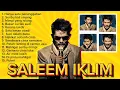 Lagu Saleem Iklim full Album