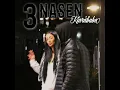 3 Nasen