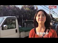 Download Lagu 大阪・熊野街道沿いに咲き誇るノダフジ「ええ香りぷんぷん」