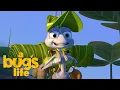 A Bug s Life Trailer