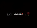 Download Lagu story'wa || katakan saja - kaifnu(cover)by_putri delina - ft kaifnu