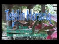 Tebilin merariq