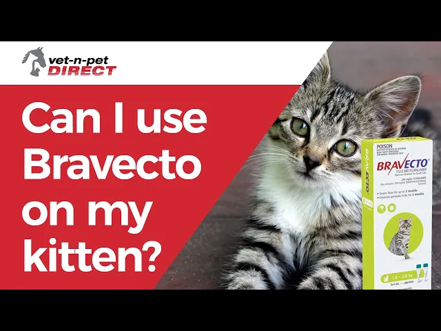 Bravecto Spot-on for Small Cats 1.2kg-2.8kg (Green) - 3 Month Flea and Tick Protection