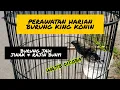 Download Lagu PERAWATAN HARIAN BURUNG KING KONIN AGAR CEPAT GACOR | KING KONIN GACOR | KONIN GACOR | KOLIBRI GACOR