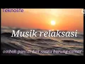 Download Lagu MUSIK RELAKSASI paduan suara ombak pantai dan suara burung camar