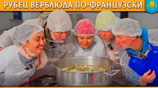🐫Желудок верблюда. Степной деликатес французской кухни. Готовим вкусный рубец казахского бактриана
