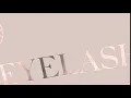 Perfect Eyelash - Logo 2019