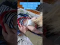 Baby Hack Part 4 How to stop being peed on during nappy changes