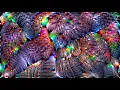 Continuous optimization of a deep dream