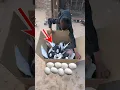 Download Lagu 39 New 💟 TOP Pigeons [ 5 Fancy Shirazi ] ❤️ [ 9 Mookee ] Other Pigeon Update 23-07-2023