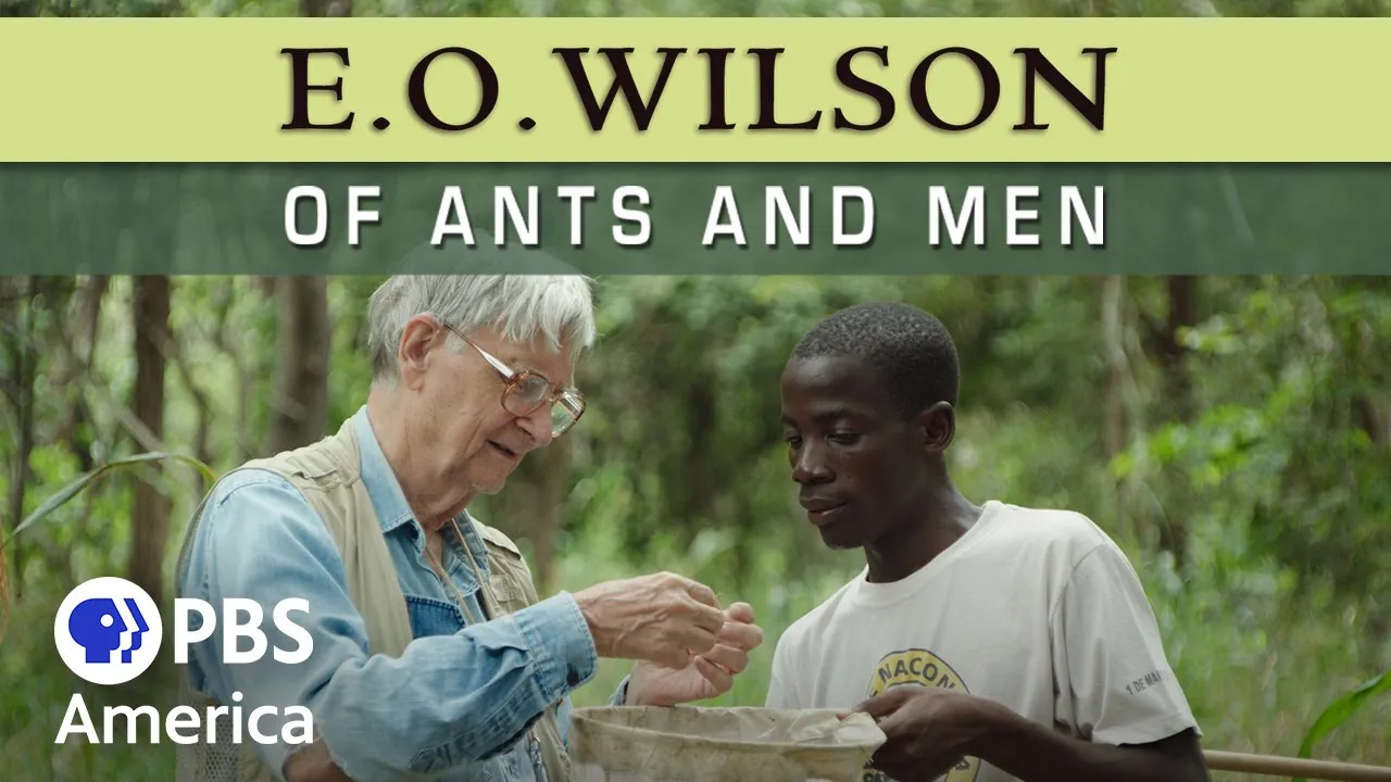 E.O. Wilson: Of Ants and Men (2015) | Full Documentary
