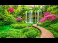 Download Lagu Mooie ontspannende muziek 🌿 Stop met overdenken, stressverlichtende muziek 🌿 Zachte muziek #40