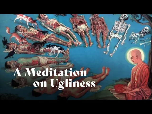 A Meditation on Ugliness | Ajahn Amaro