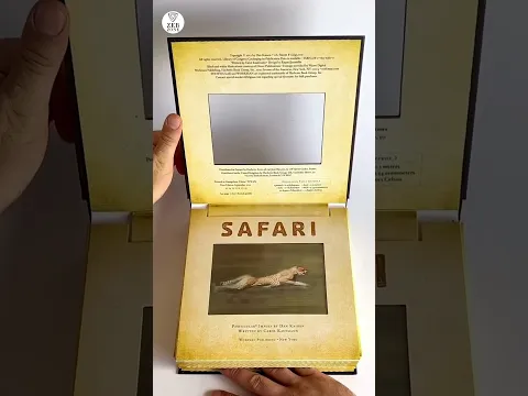 How These Paper Books Play Real Videos Without Screens! 😱