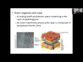 09-29-20 The outer membrane of Gram-negative bacteria