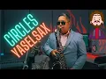 Circles - Post Malone Saxophone Cover Yaselsax Circulos Kreise Cercles Cerchi