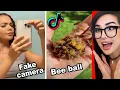 Download Lagu Cool Things I Learned On Tik Tok